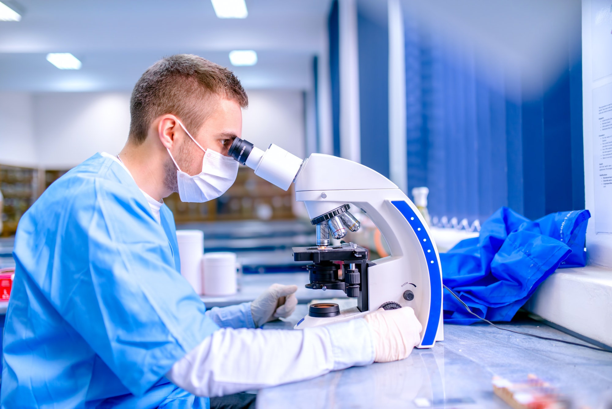 Scientist working in chemistry laboratory, examining samples at laboratory